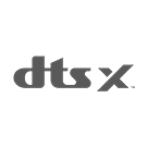 dts-x